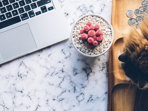 全球稅務(wù)規(guī)劃：港、海、新、美及離岸小國(guó)組合還能用嗎？